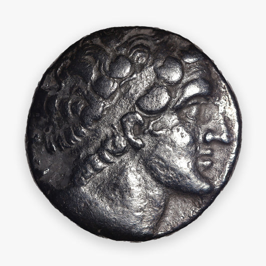 145-116 BC Greek - Ptolemaic (Ptolemy VIII Euergetes) AR (Silver) Tetradrachm - Kition, Cyprus Mint - Approx. Fine