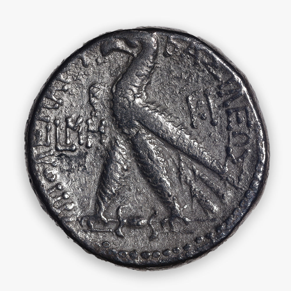 145-116 BC Greek - Ptolemaic (Ptolemy VIII Euergetes) AR (Silver) Tetradrachm - Kition, Cyprus Mint - Approx. Fine